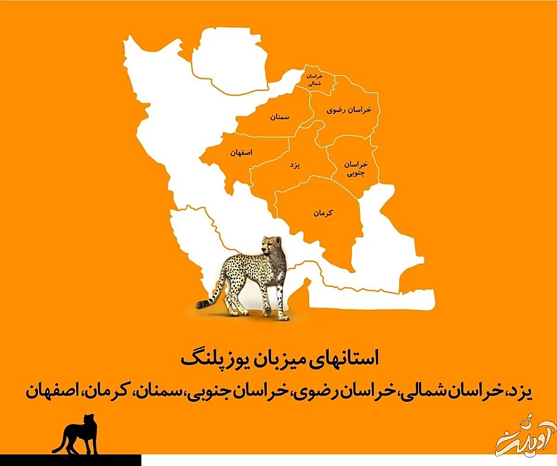 از لباس تیم ملی فوتبال تا اسارت توسط شیخ نشینان امارات از لباس تیم ملی فوتبال تا اسارت توسط شیخ نشینان امارات